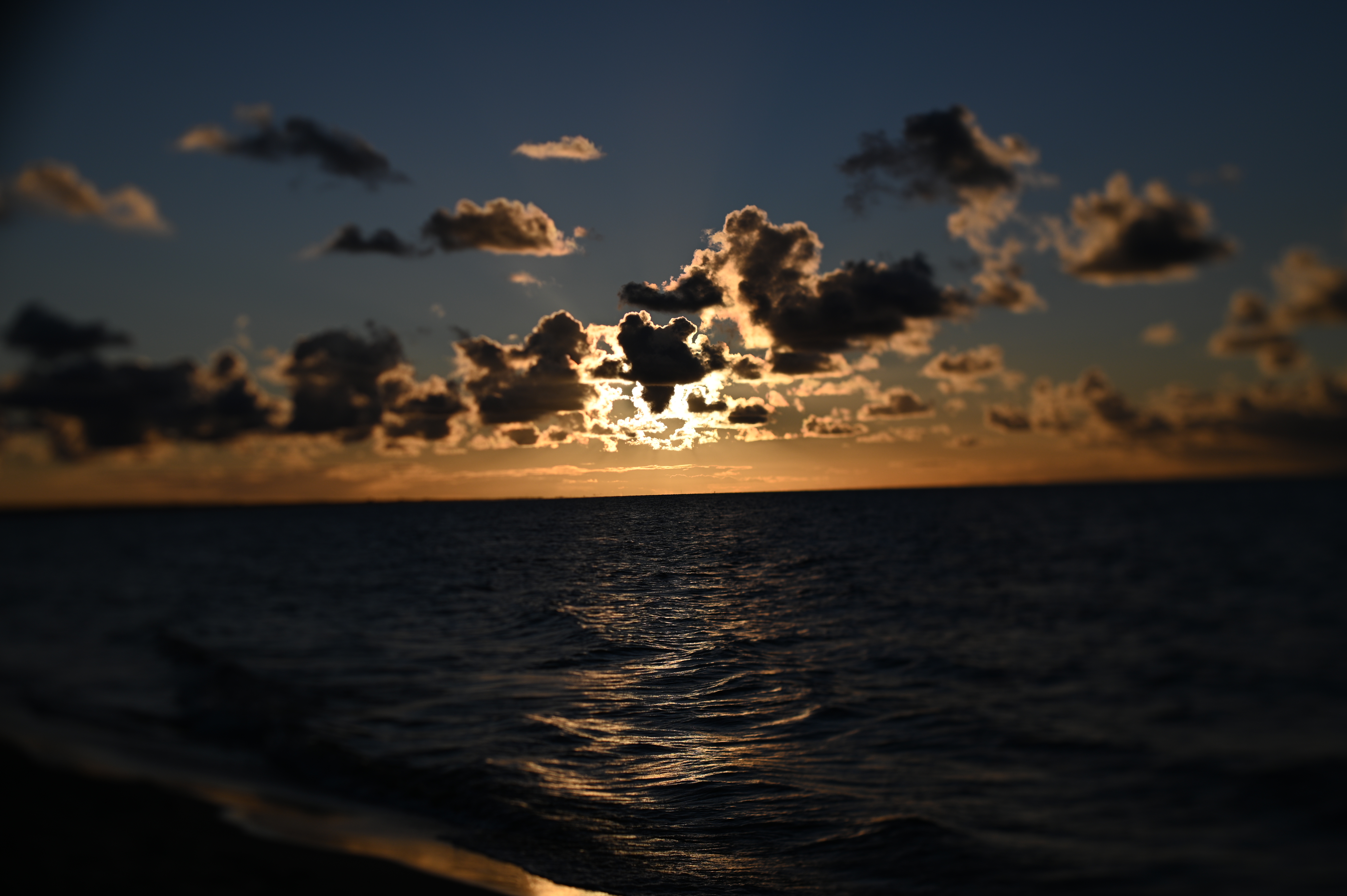 2025/10/18 - walk/DSC_0292.JPG